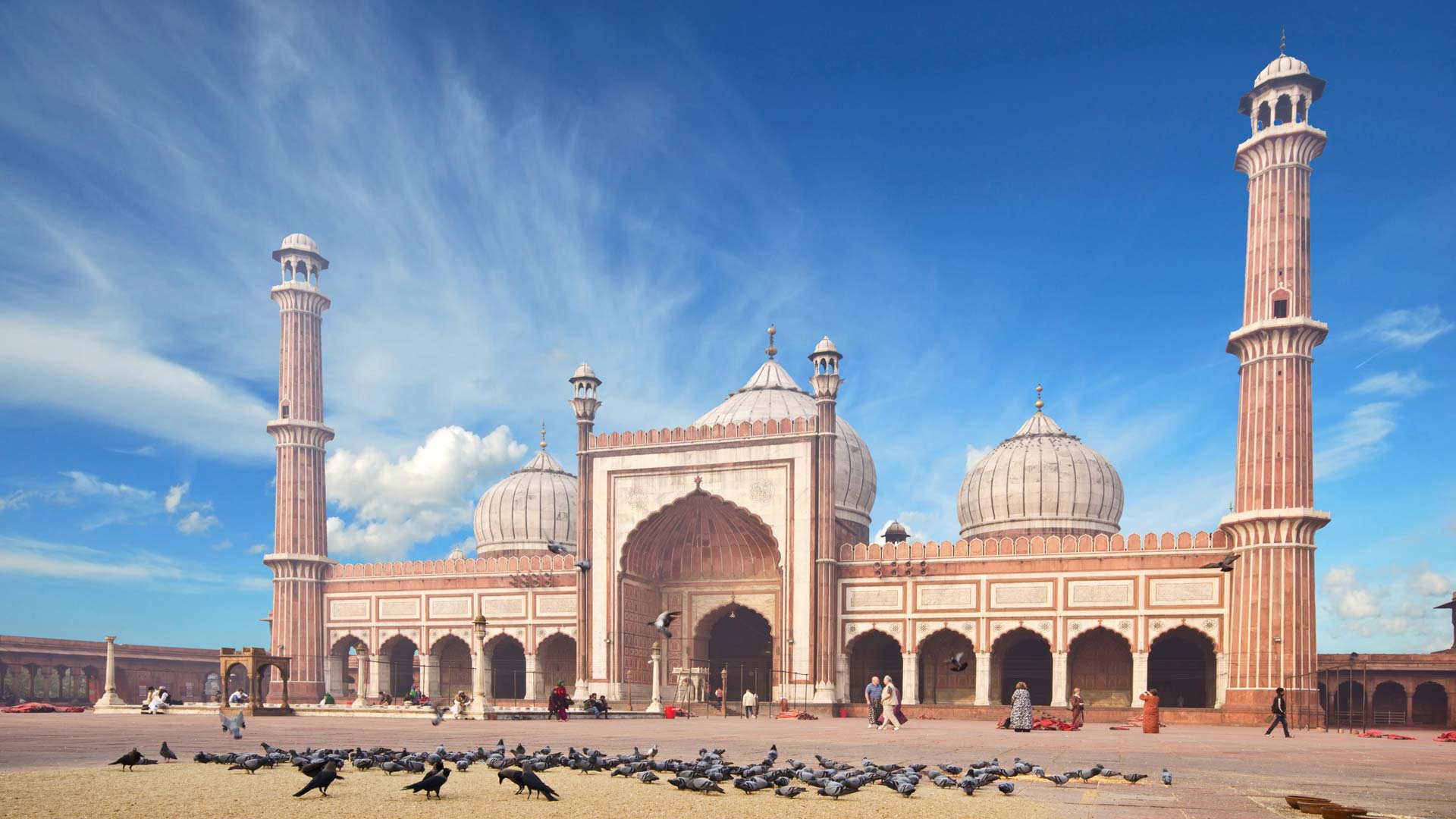 Private 8-Hour Tour of New Delhi