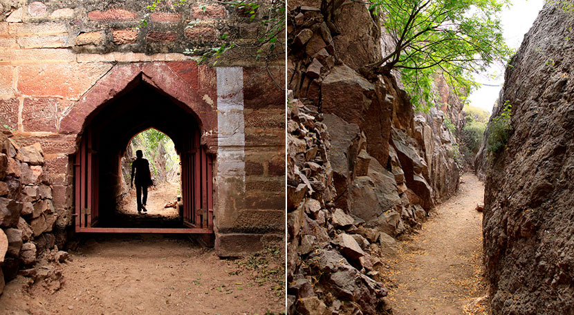 Jodhpur: Private Full-Day Mehrangarh Fort Tour