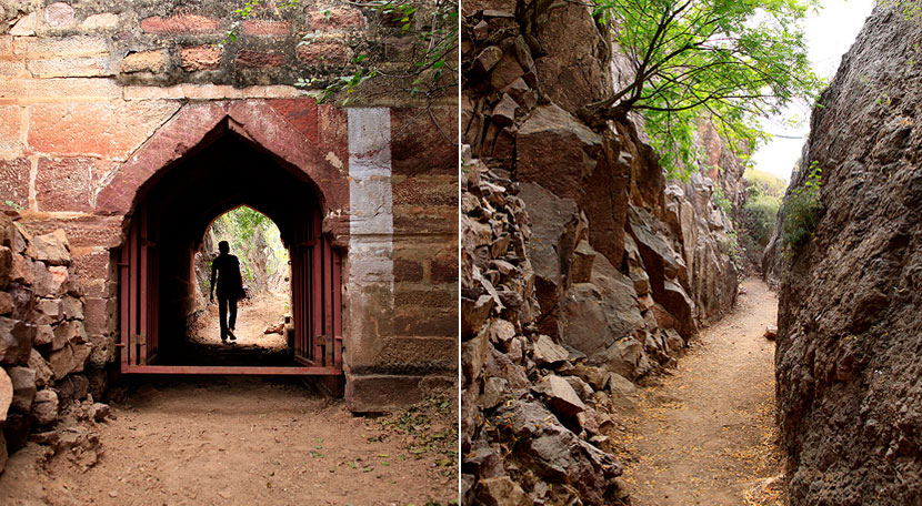 Jodhpur: Private Full-Day Mehrangarh Fort Tour