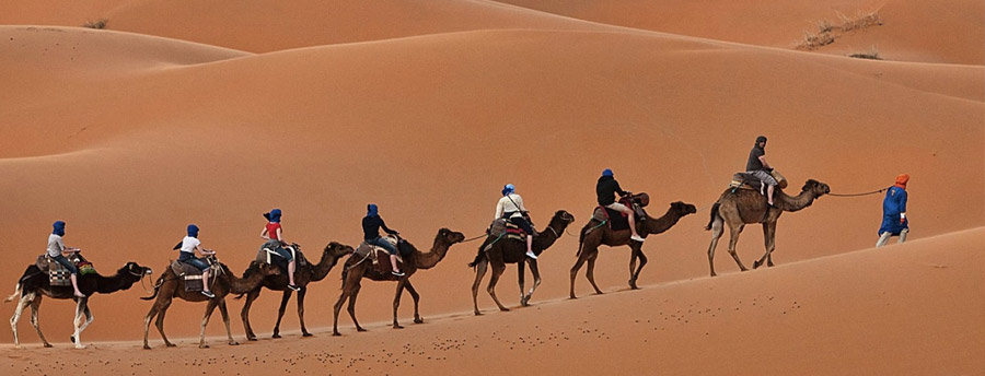 Jodhpur - Overnight Stay in Desert with Camel Safari