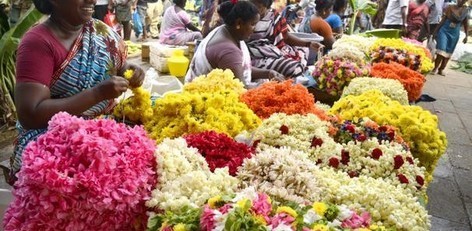 Varanasi - North Walk Tour