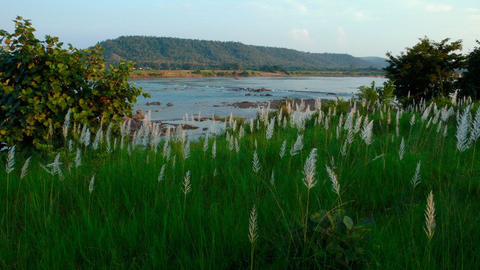 Tiger safari to Panna National Park from Khajuraho.