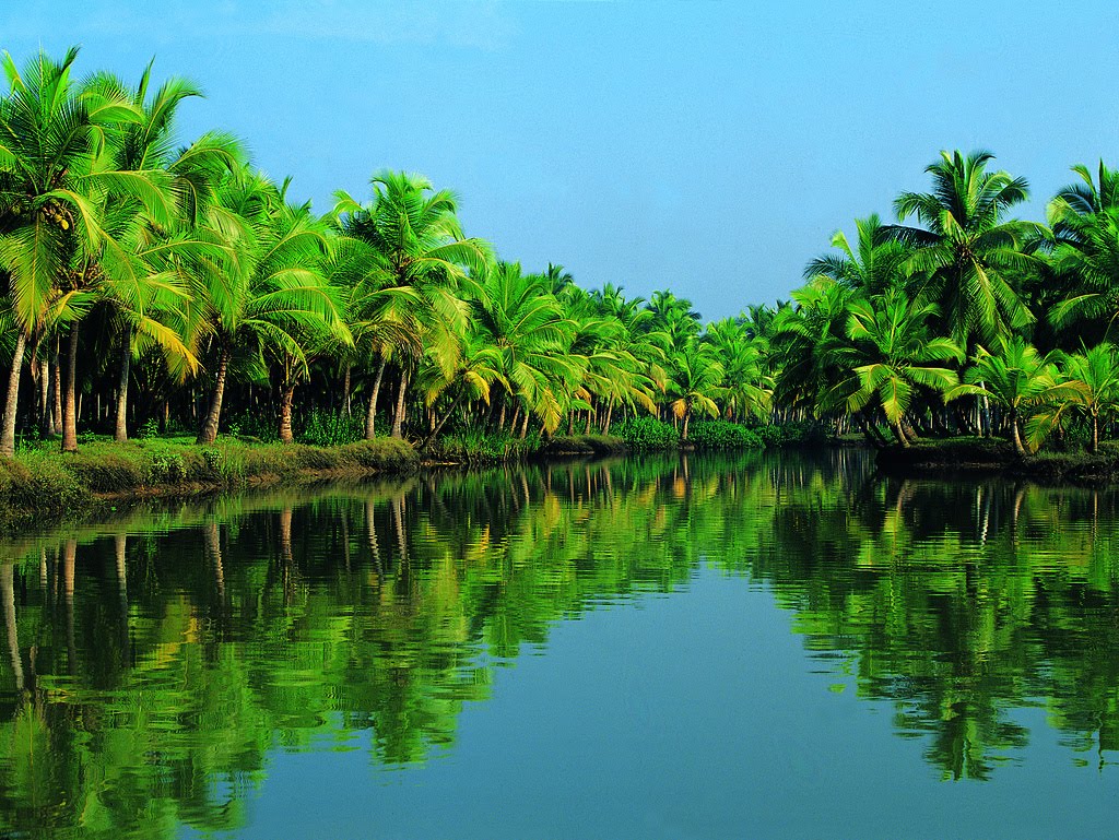 All inclusive - Cochin Local lunch with boat cruise in backwaters.