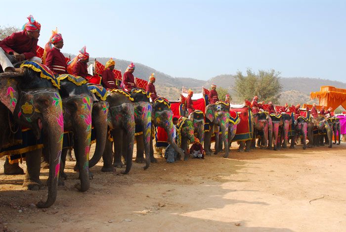 Jaipur - Private tour to Amber fort with Elephant Ride.