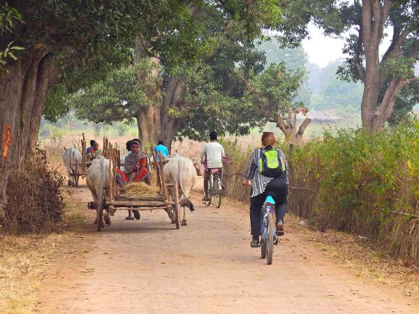 All Inclusive Cycling trip to Datla Pahad (Teeth Mountain) from Khajuraho.