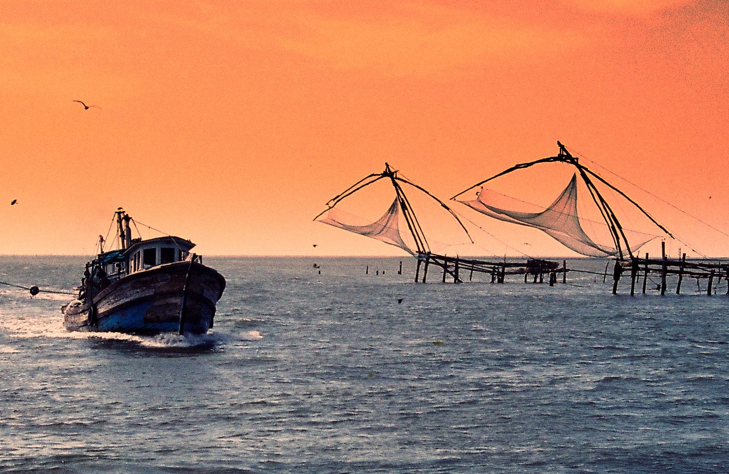 All inclusive - Cochin Local lunch with boat cruise in backwaters.