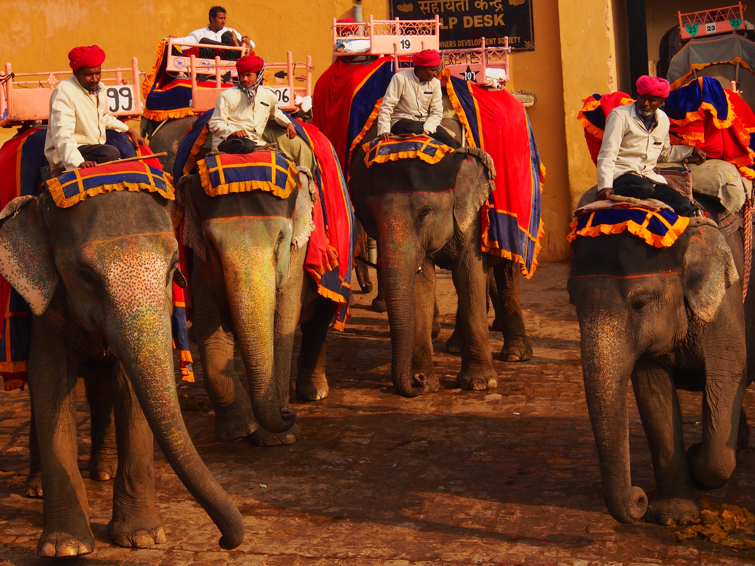 Jaipur - Private tour to Amber fort with Elephant Ride.