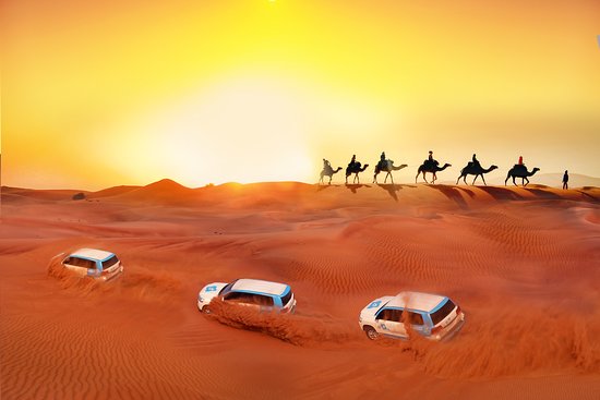 Jodhpur - Overnight Stay in Desert with Camel Safari