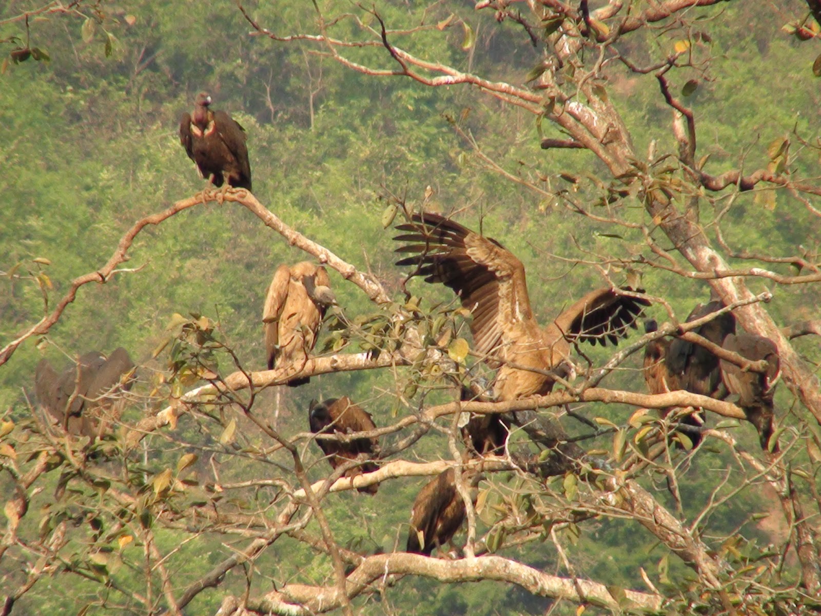 All Inclusive Nature Cycling trail in Orchha.