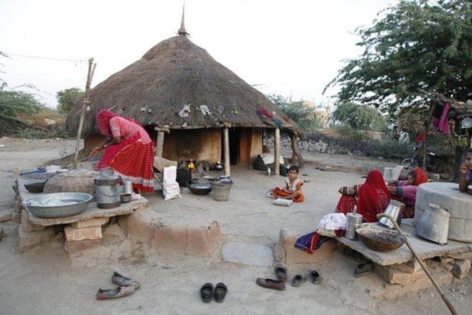 Jodhpur -Private Tour of  Bishnoi Village Safari