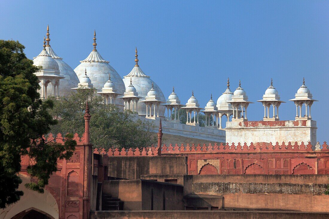 Private Cultural Walking Tour in Old Town of Agra