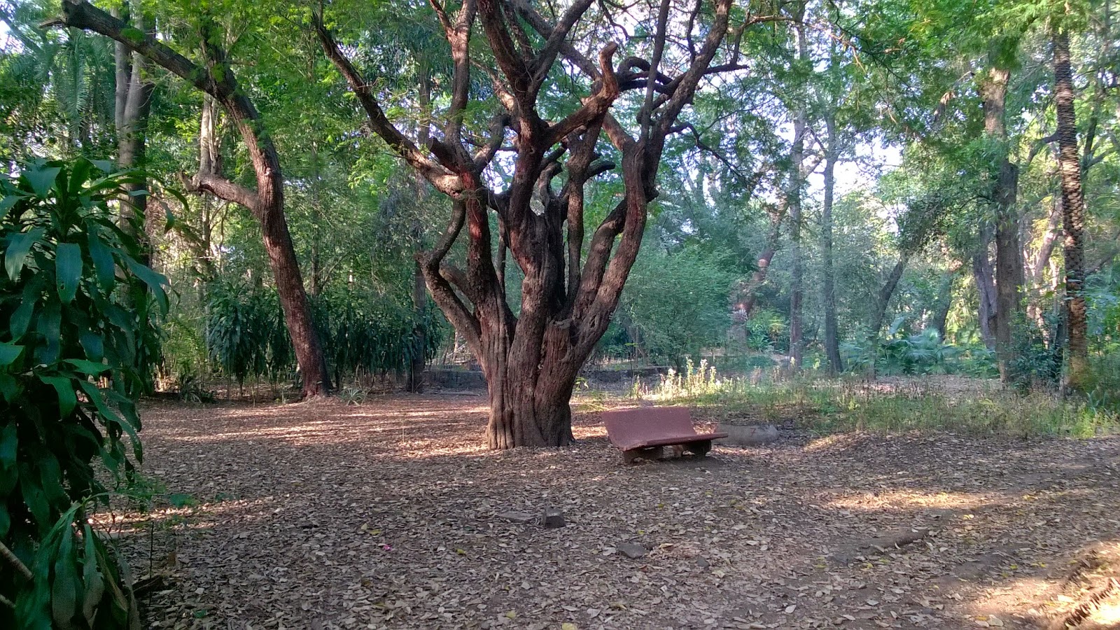 Cycling tour of Pune University complex