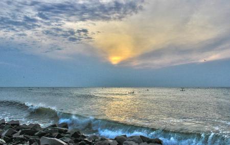 Pondicherry & Aurobindo Ashrams Private Excursion from Chennai