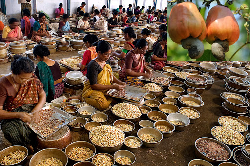 Manglore - Mangalore Old Port with Cashew factory