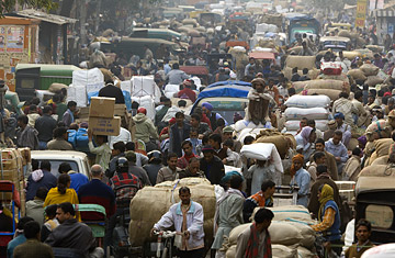 Old Delhi Half-Day Walking Tour with Local Lunch.