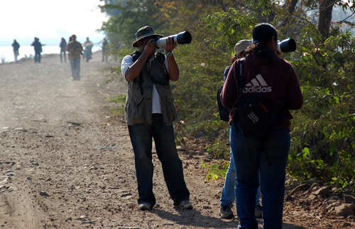 Pune Bird Safari - Private Day Excursion to Bhigwan