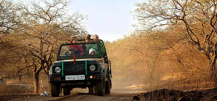 Private safari to Raneh Fall Canyon from Khajuraho