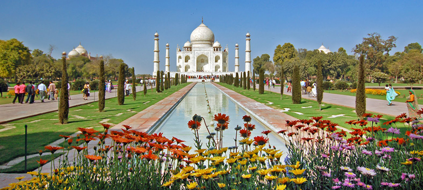 Taj Mahal Private Day Tour from New Delhi.