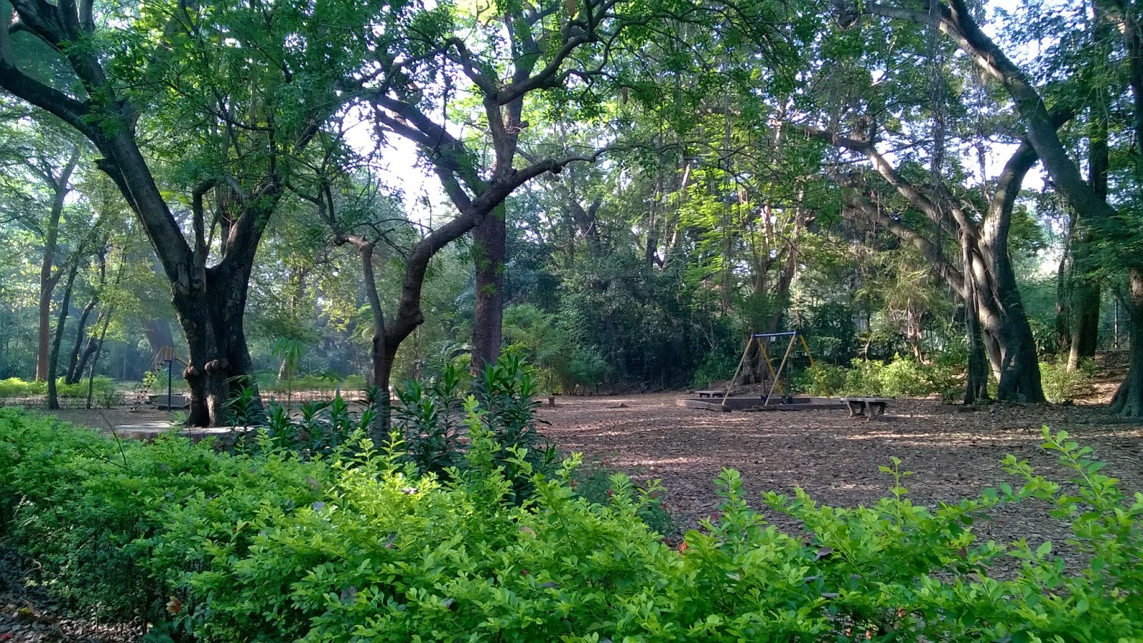 Cycling tour of Pune University complex