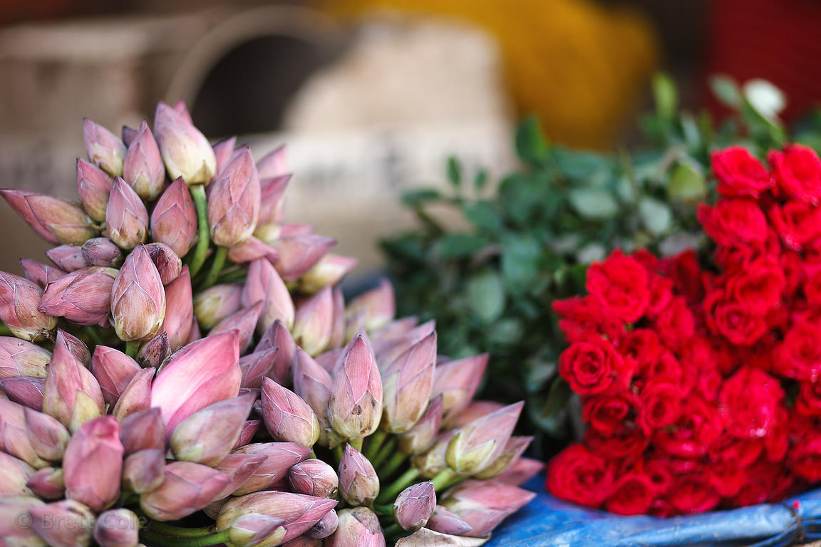 Kolkata - Flower market half day tour