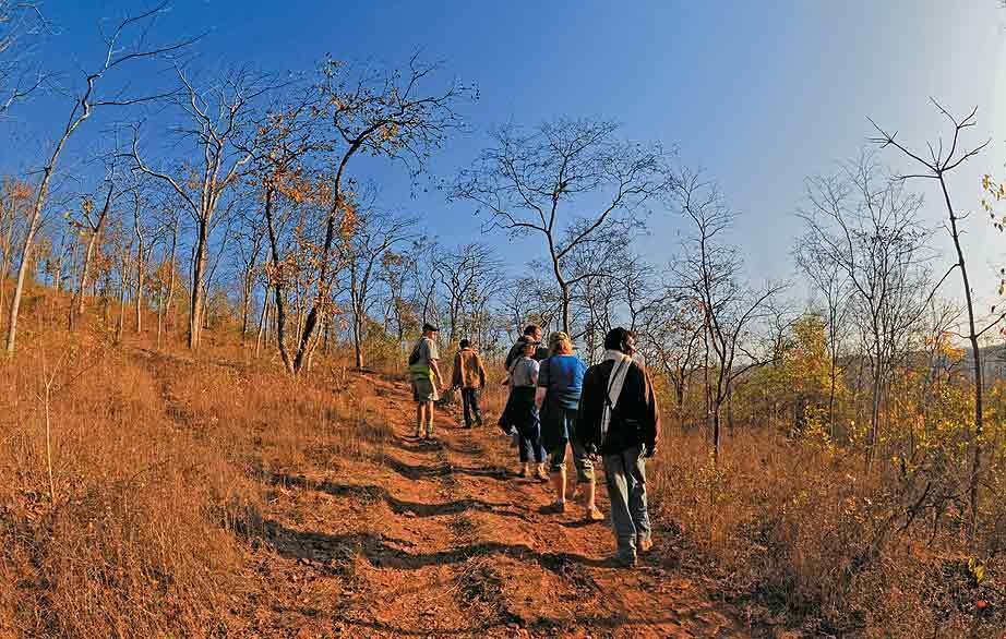 Private safari to Raneh Fall Canyon from Khajuraho