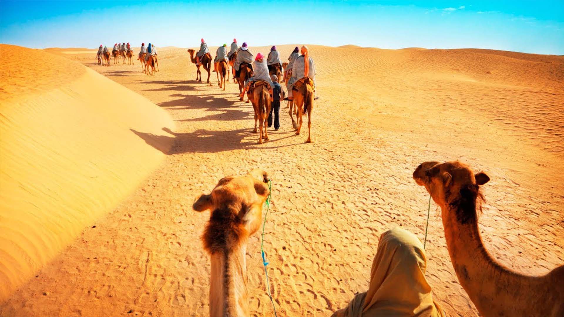 Jodhpur - Overnight Stay in Desert with Camel Safari