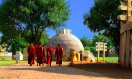 Private visit to Sanchi and Udayagiri from Bhopal